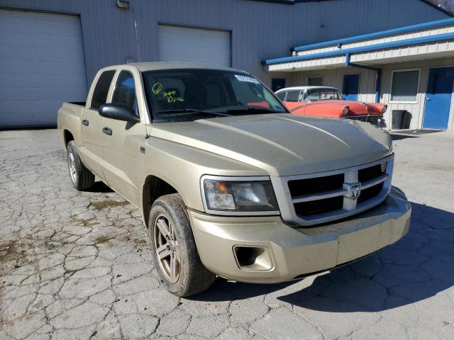 DODGE DAKOTA SLT 2011 1d7rw3gp5bs504745