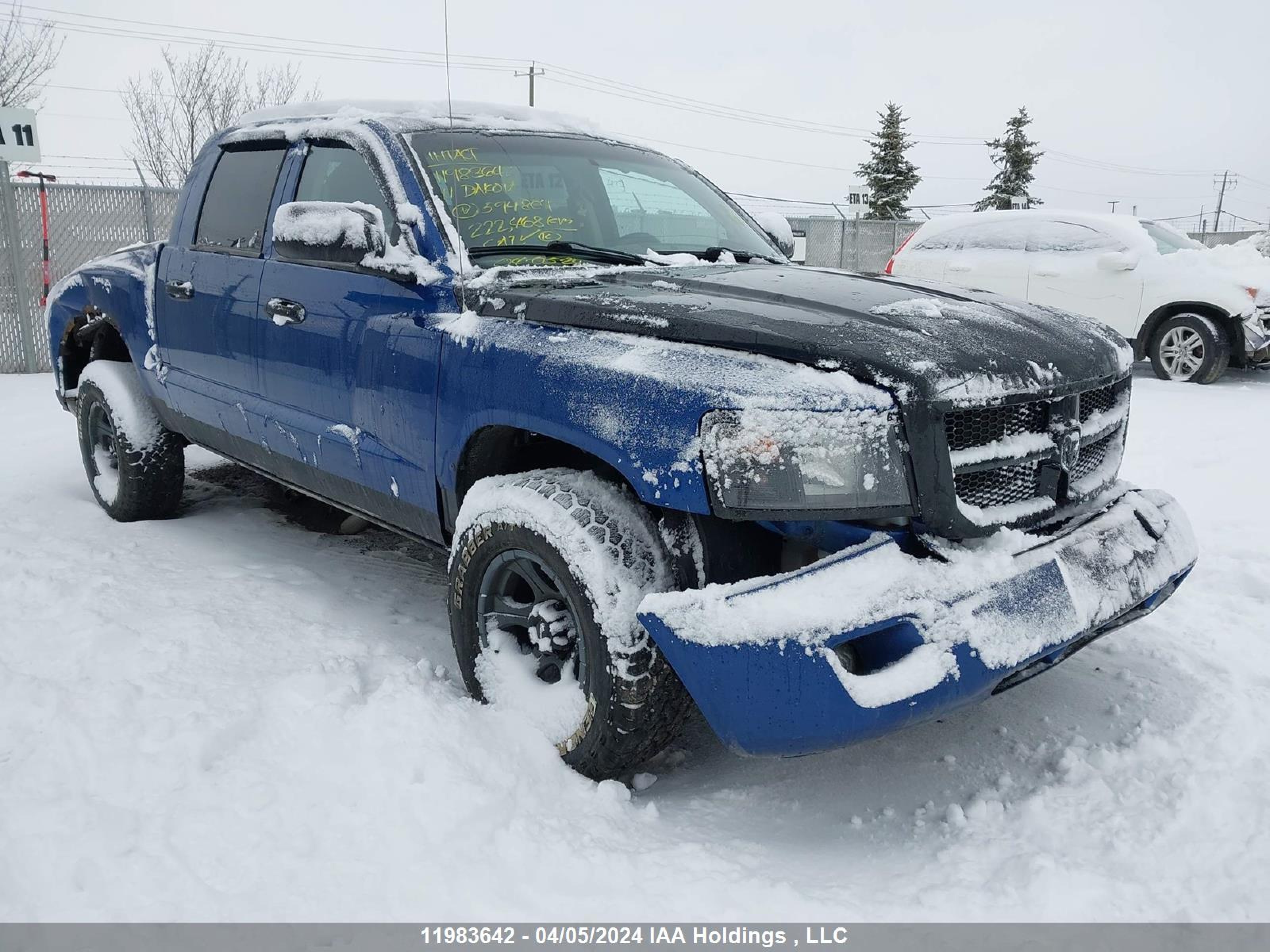 DODGE DAKOTA 2011 1d7rw3gp5bs594804