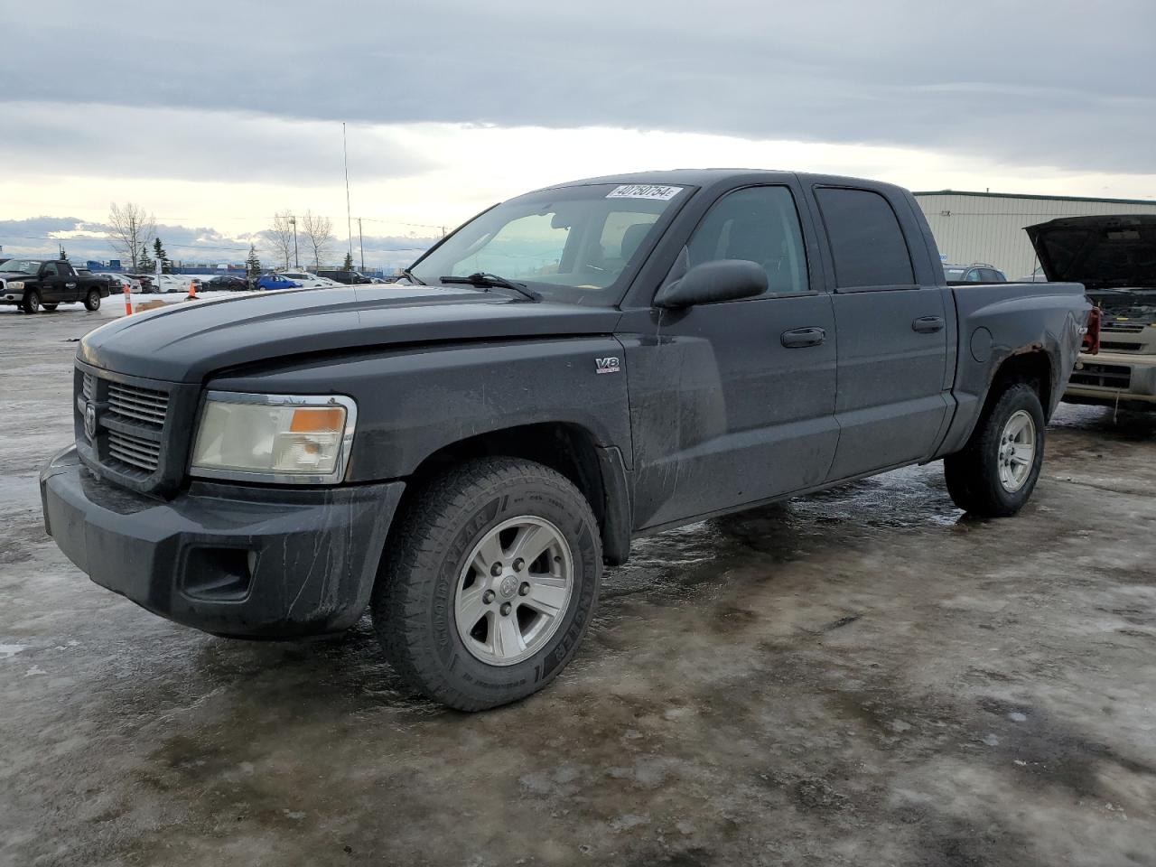 DODGE DAKOTA 2011 1d7rw3gp6bs649079