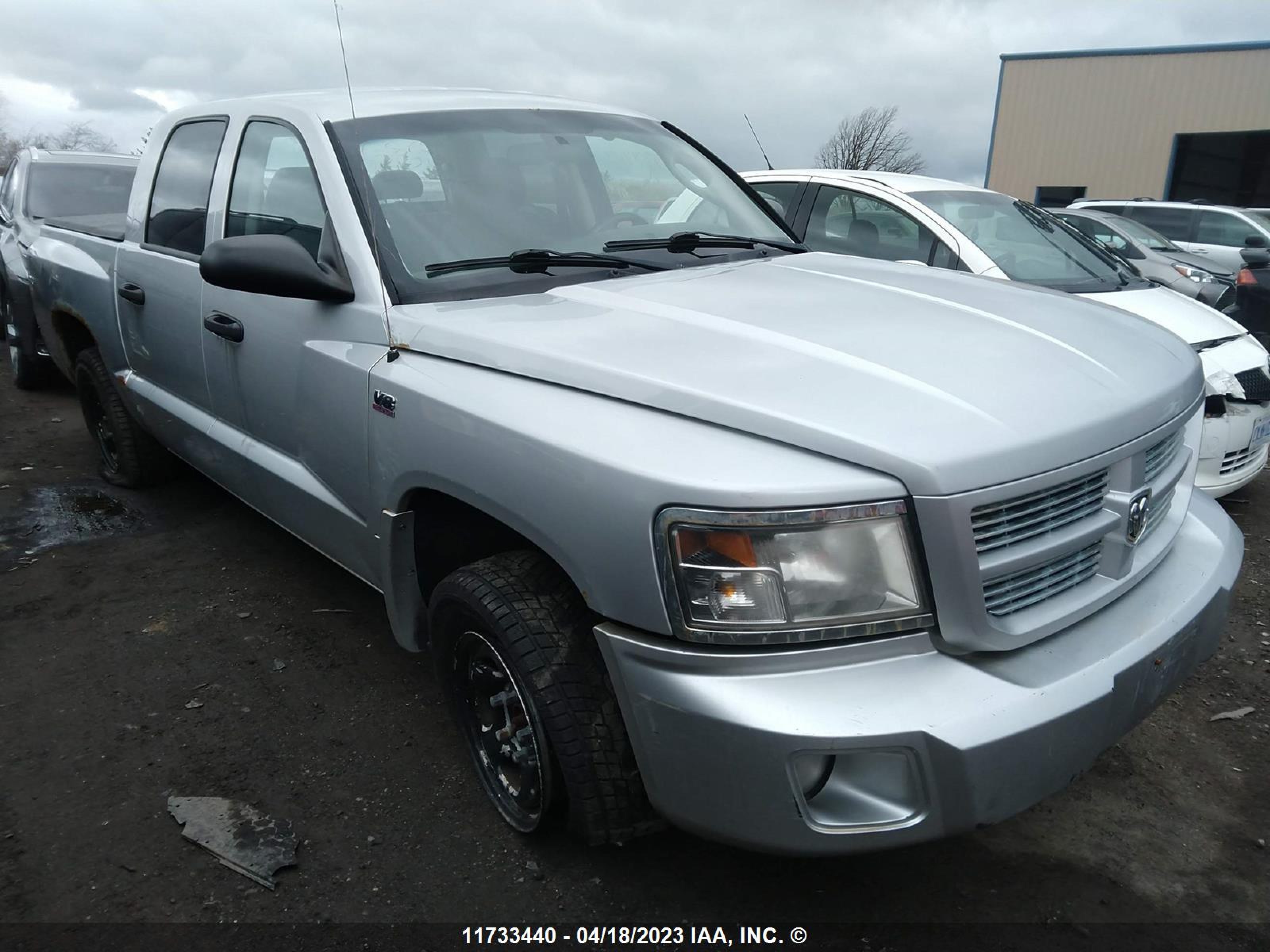 RAM DAKOTA 2011 1d7rw3gp6bs701813