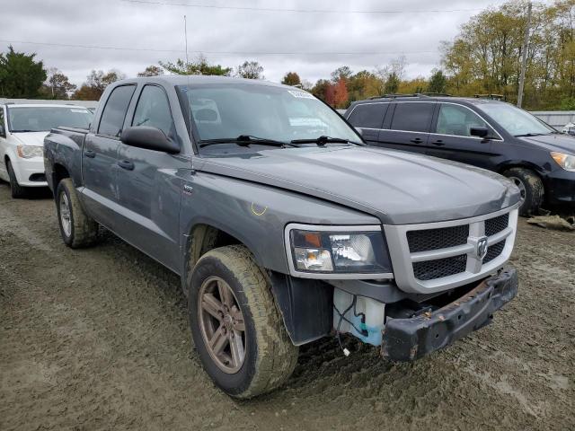 DODGE DAKOTA SLT 2011 1d7rw3gp8bs667079