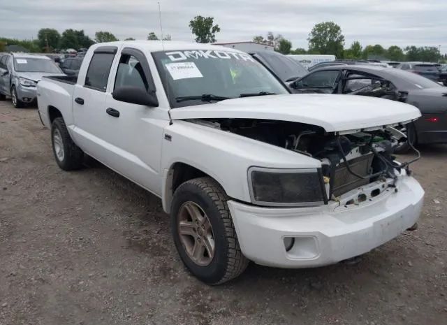 RAM DAKOTA 2011 1d7rw3gp8bs686005