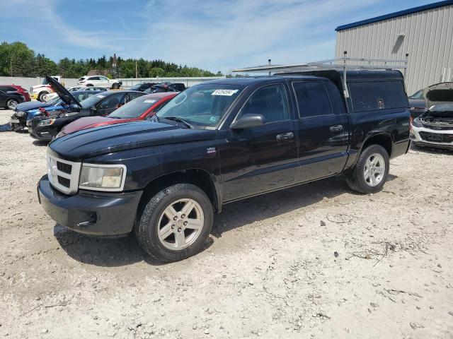 DODGE DAKOTA 2011 1d7rw3gp9bs638755