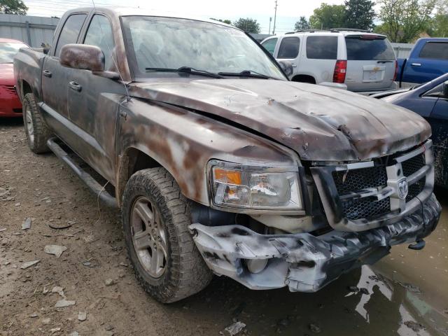 DODGE DAKOTA SLT 2011 1d7rw3gpxbs685986