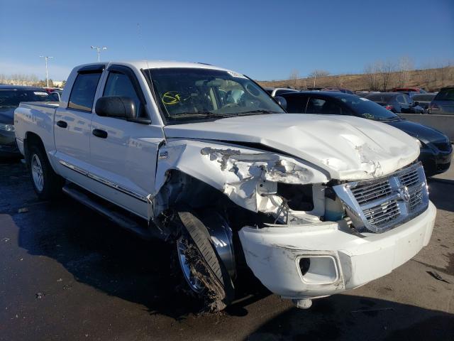 DODGE DAKOTA LAR 2011 1d7rw5gp8bs537122