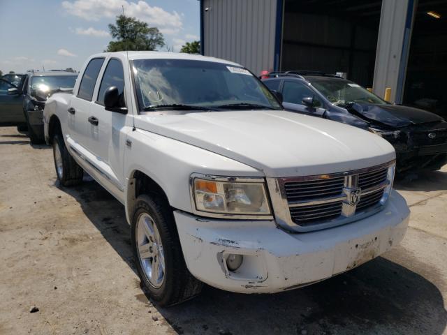 DODGE DAKOTA LAR 2011 1d7rw5gp8bs589561