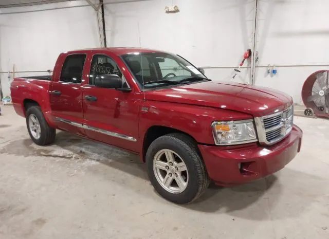 RAM DAKOTA 2011 1d7rw5gp8bs667370