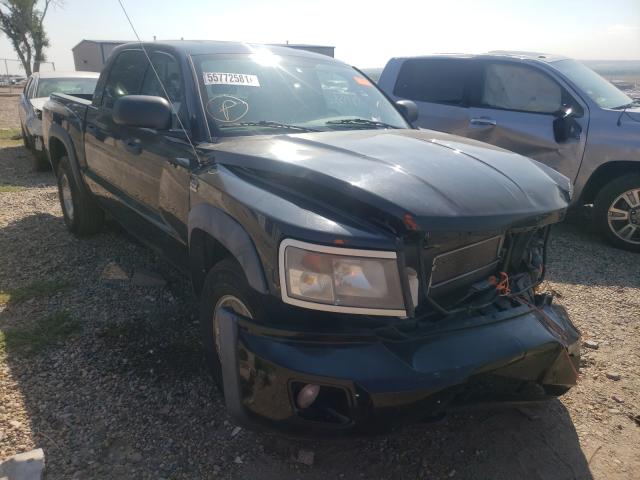 DODGE DAKOTA TRX 2011 1d7rw7gp3bs504735