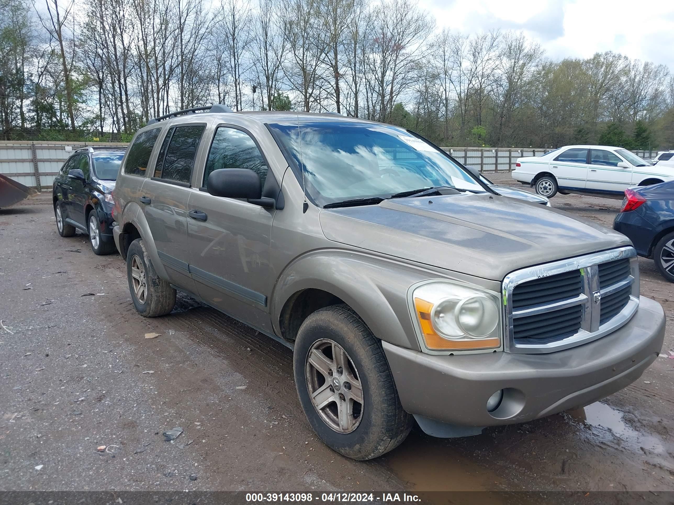 DODGE DURANGO 2006 1d8hb48266f127398