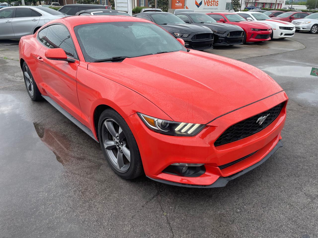 FORD MUSTANG 2015 1fa6p8am0f5431056