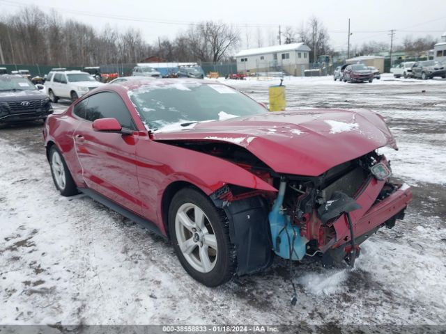 FORD MUSTANG 2016 1fa6p8am0g5201504