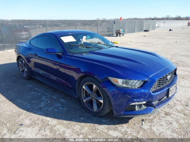 FORD MUSTANG 2016 1fa6p8am0g5206279