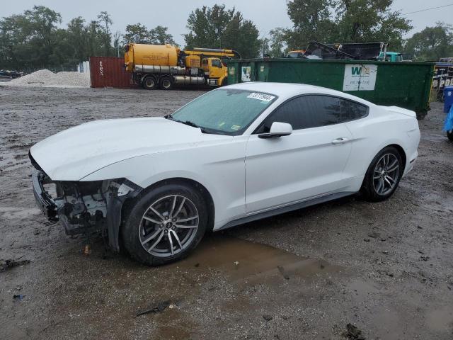 FORD MUSTANG 2016 1fa6p8am0g5208050