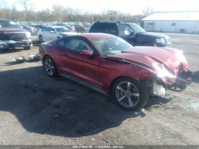 FORD MUSTANG 2016 1fa6p8am0g5210848