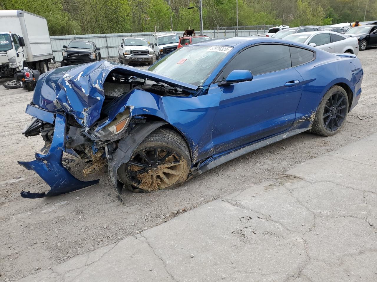 FORD MUSTANG 2017 1fa6p8am0h5224587