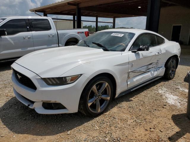 FORD MUSTANG 2015 1fa6p8am1f5336425