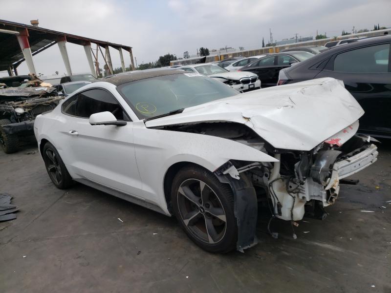 FORD MUSTANG 2016 1fa6p8am1g5230431