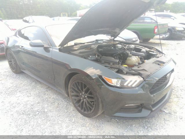 FORD MUSTANG 2016 1fa6p8am1g5331307