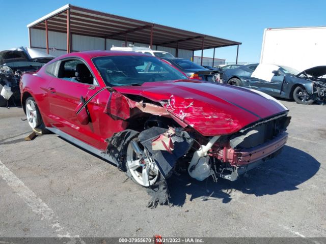 FORD MUSTANG 2017 1fa6p8am2h5281194