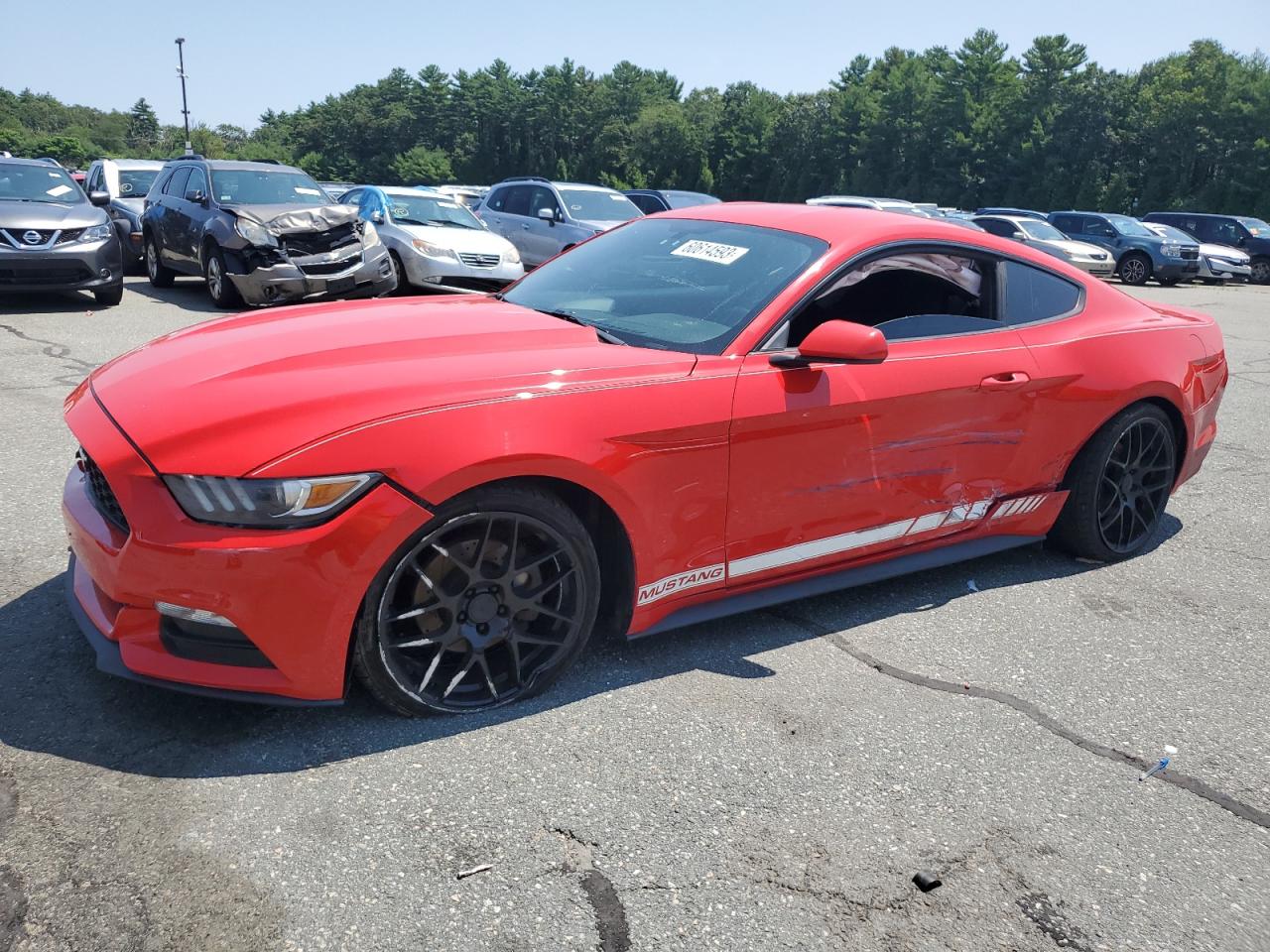 FORD MUSTANG 2016 1fa6p8am3g5232150