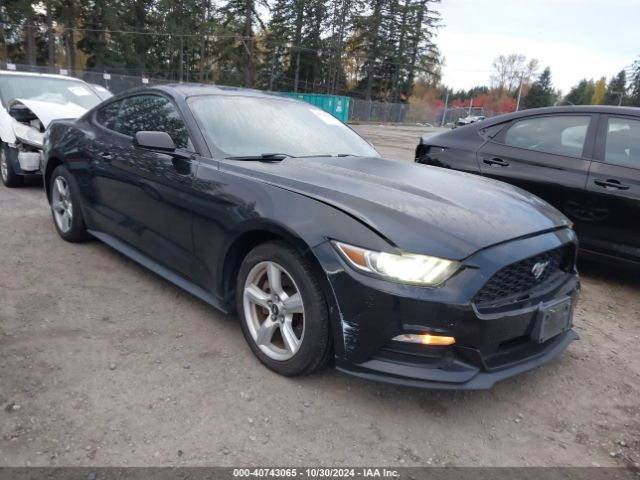 FORD MUSTANG 2016 1fa6p8am3g5256688