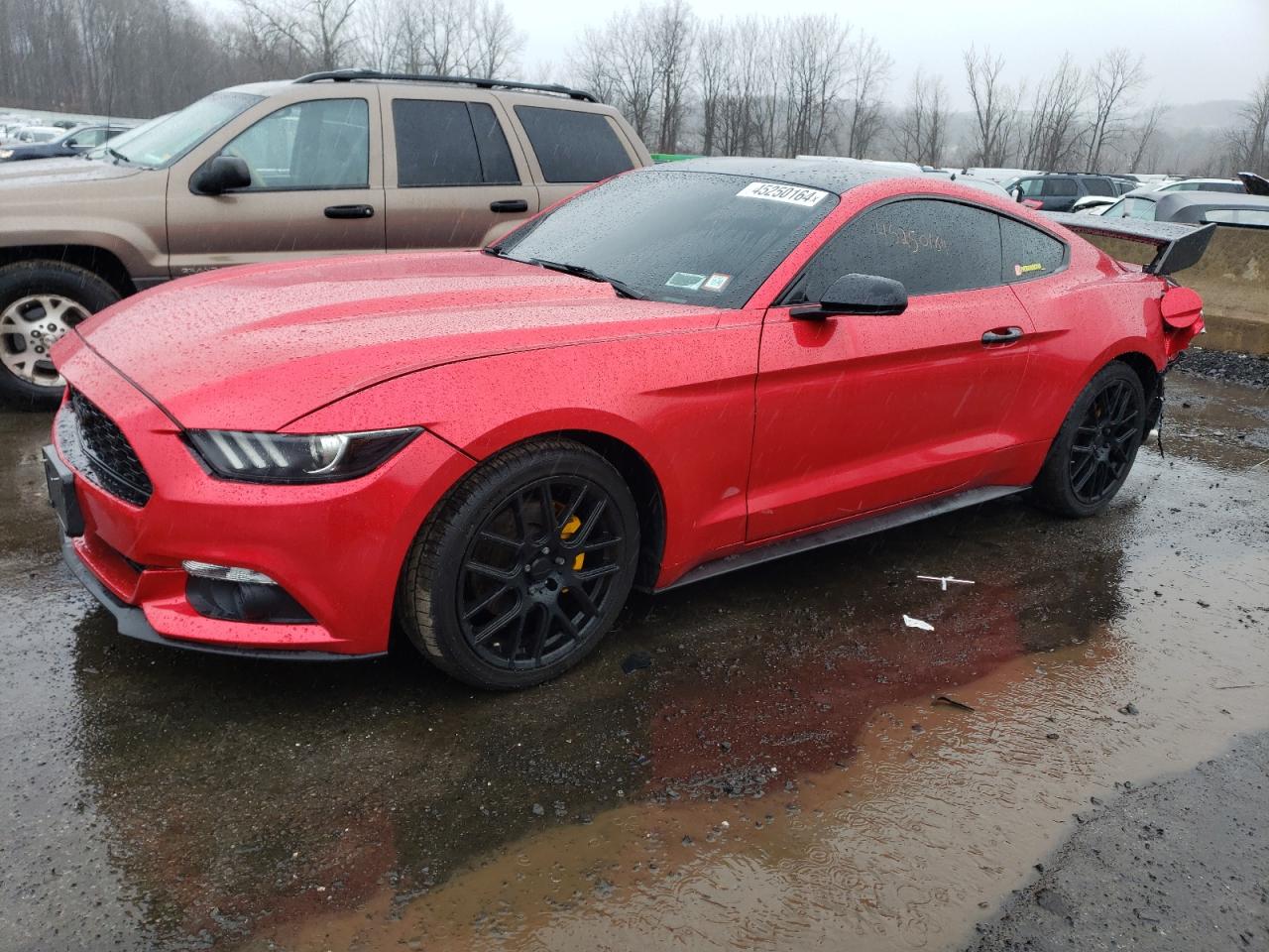 FORD MUSTANG 2016 1fa6p8am4g5316820