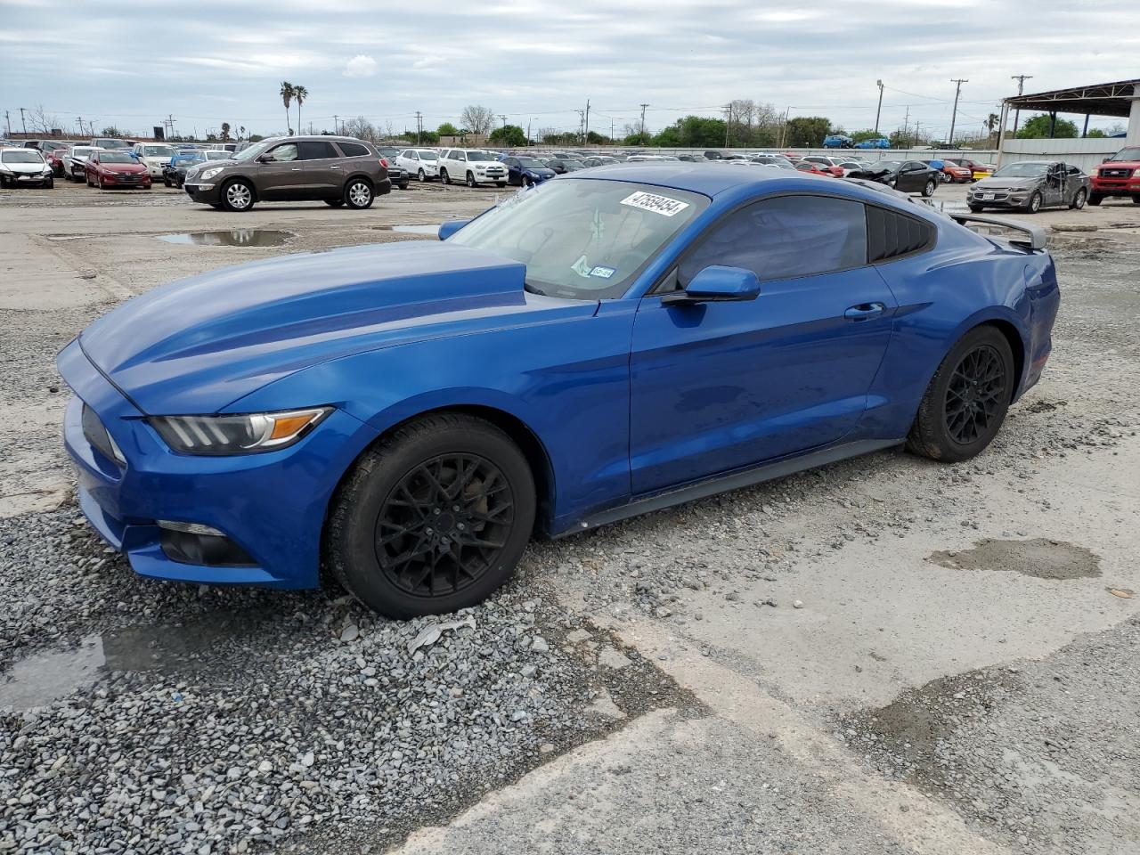 FORD MUSTANG 2017 1fa6p8am4h5340147