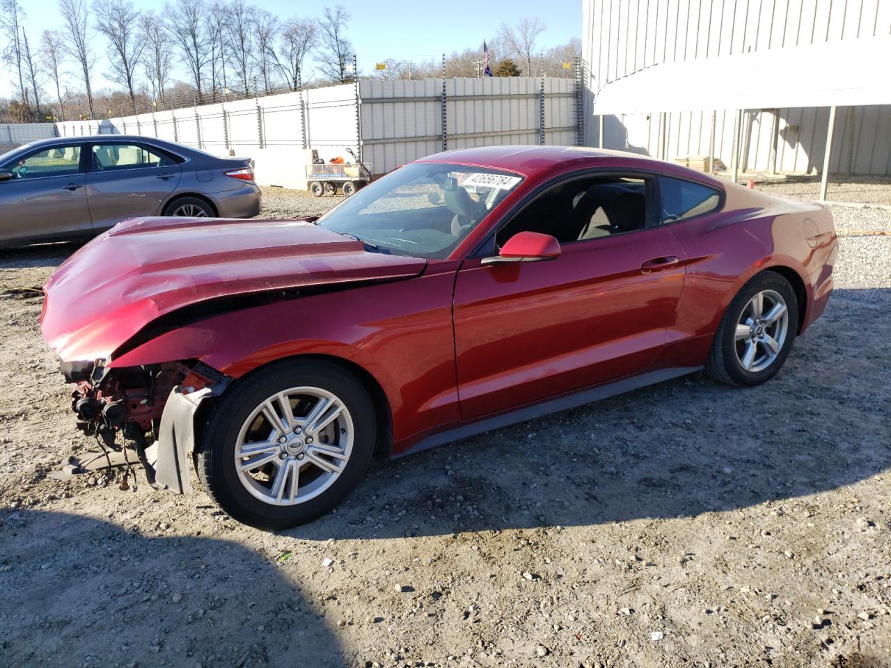 FORD MUSTANG 2015 1fa6p8am5f5346679