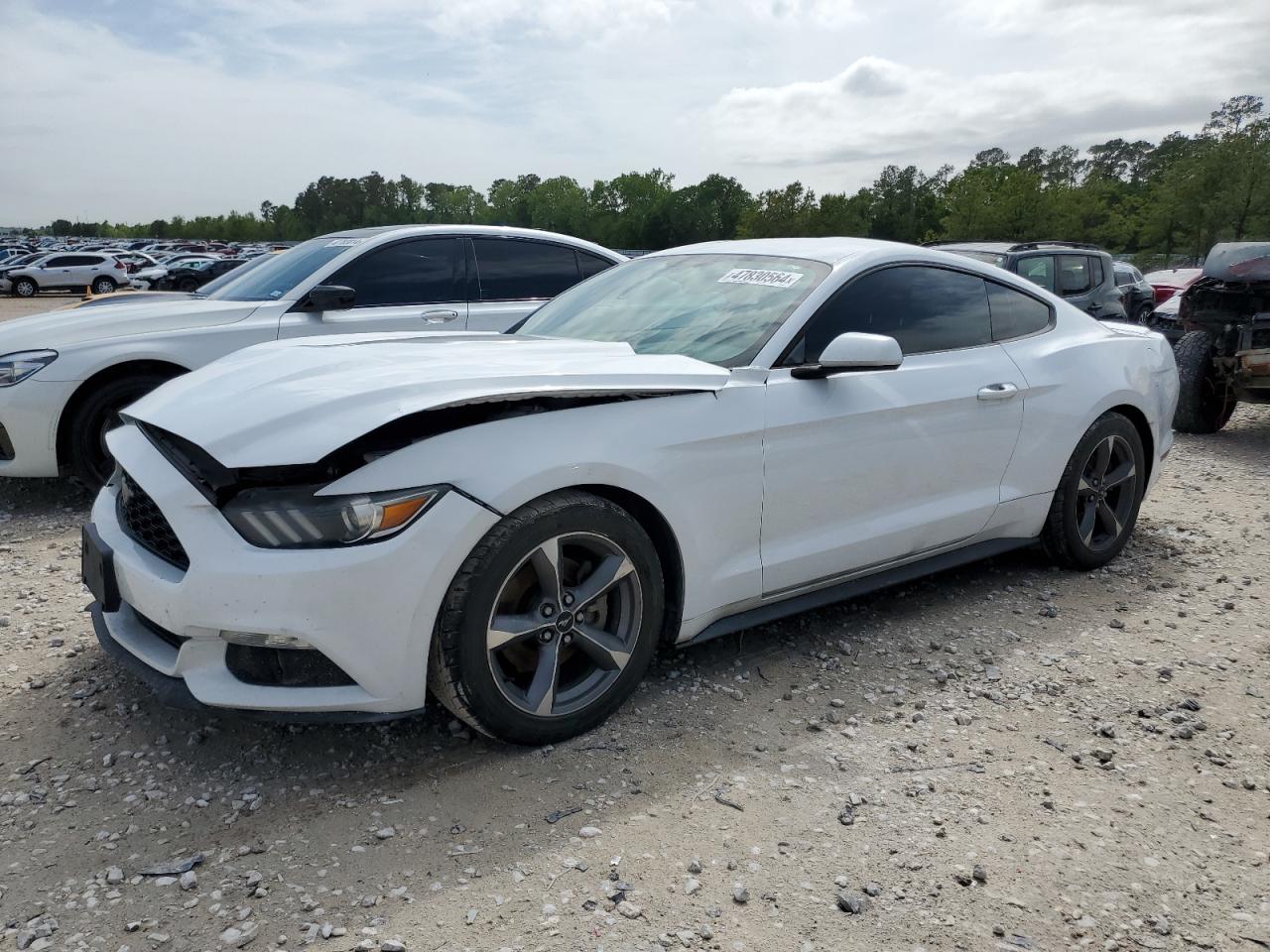 FORD MUSTANG 2015 1fa6p8am6f5350241