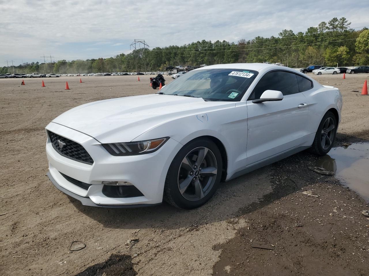 FORD MUSTANG 2016 1fa6p8am6g5215598