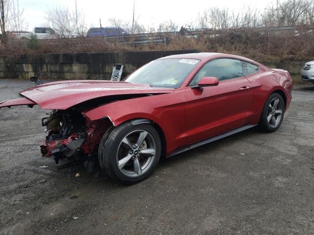 FORD MUSTANG 2016 1fa6p8am6g5254868