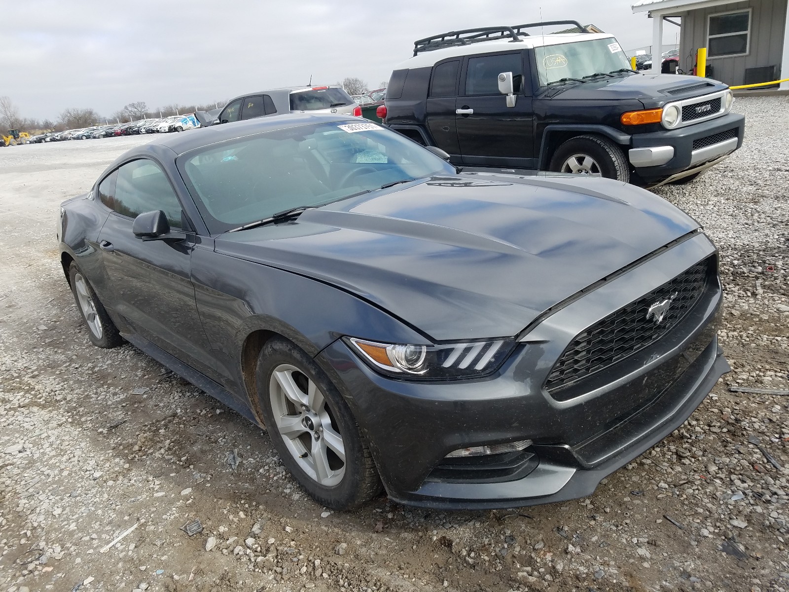 FORD MUSTANG 2017 1fa6p8am6h5259148