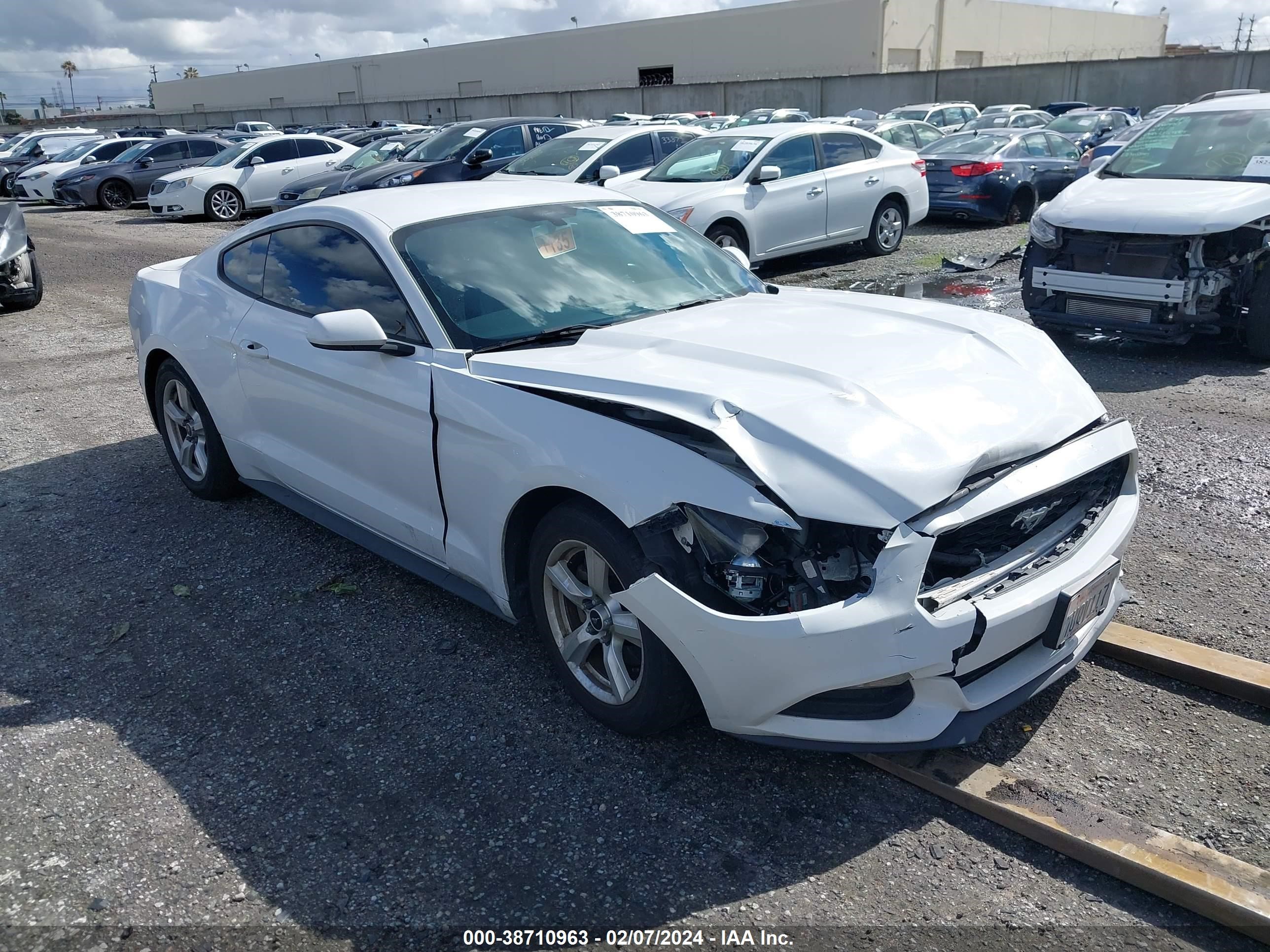 FORD MUSTANG 2017 1fa6p8am7h5203610