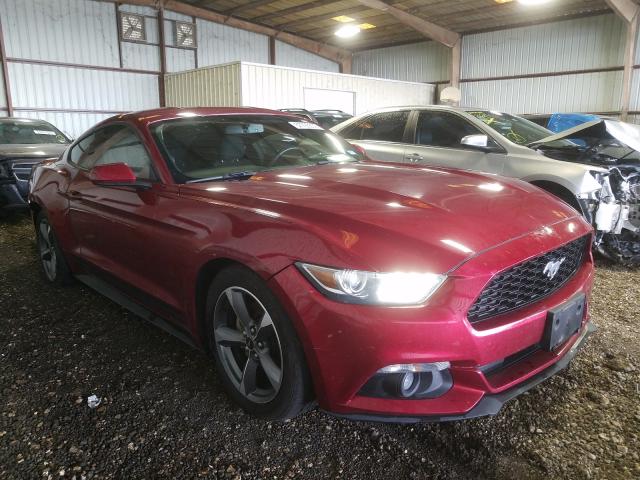 FORD MUSTANG 2015 1fa6p8am8f5355179