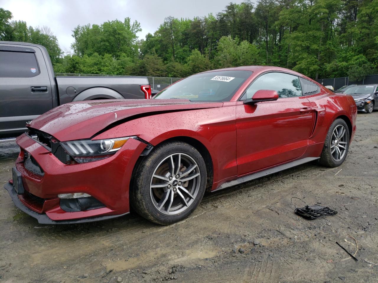 FORD MUSTANG 2016 1fa6p8am8g5201525