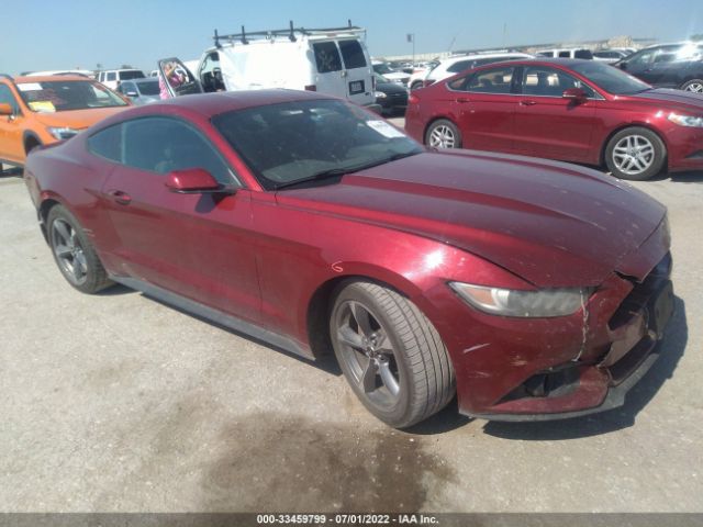 FORD MUSTANG 2016 1fa6p8am8g5256251