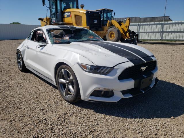 FORD MUSTANG 2016 1fa6p8am8g5285183