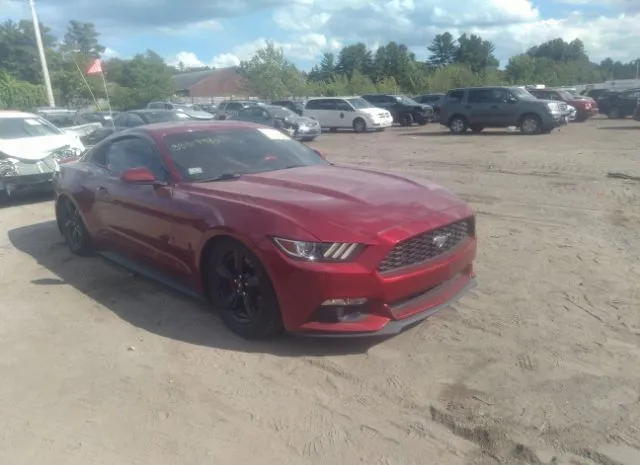 FORD MUSTANG 2016 1fa6p8am9g5313847