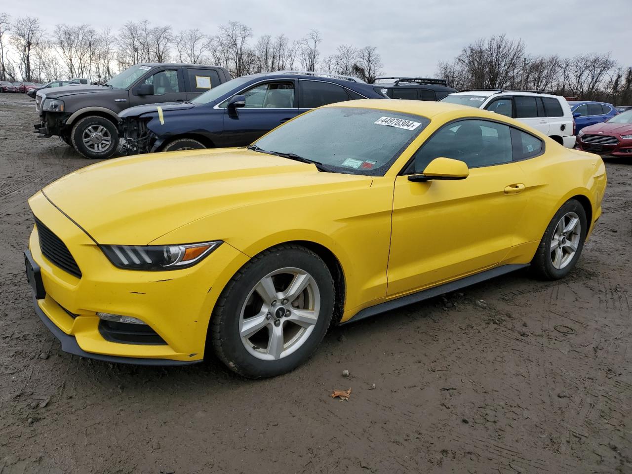 FORD MUSTANG 2017 1fa6p8am9h5280298