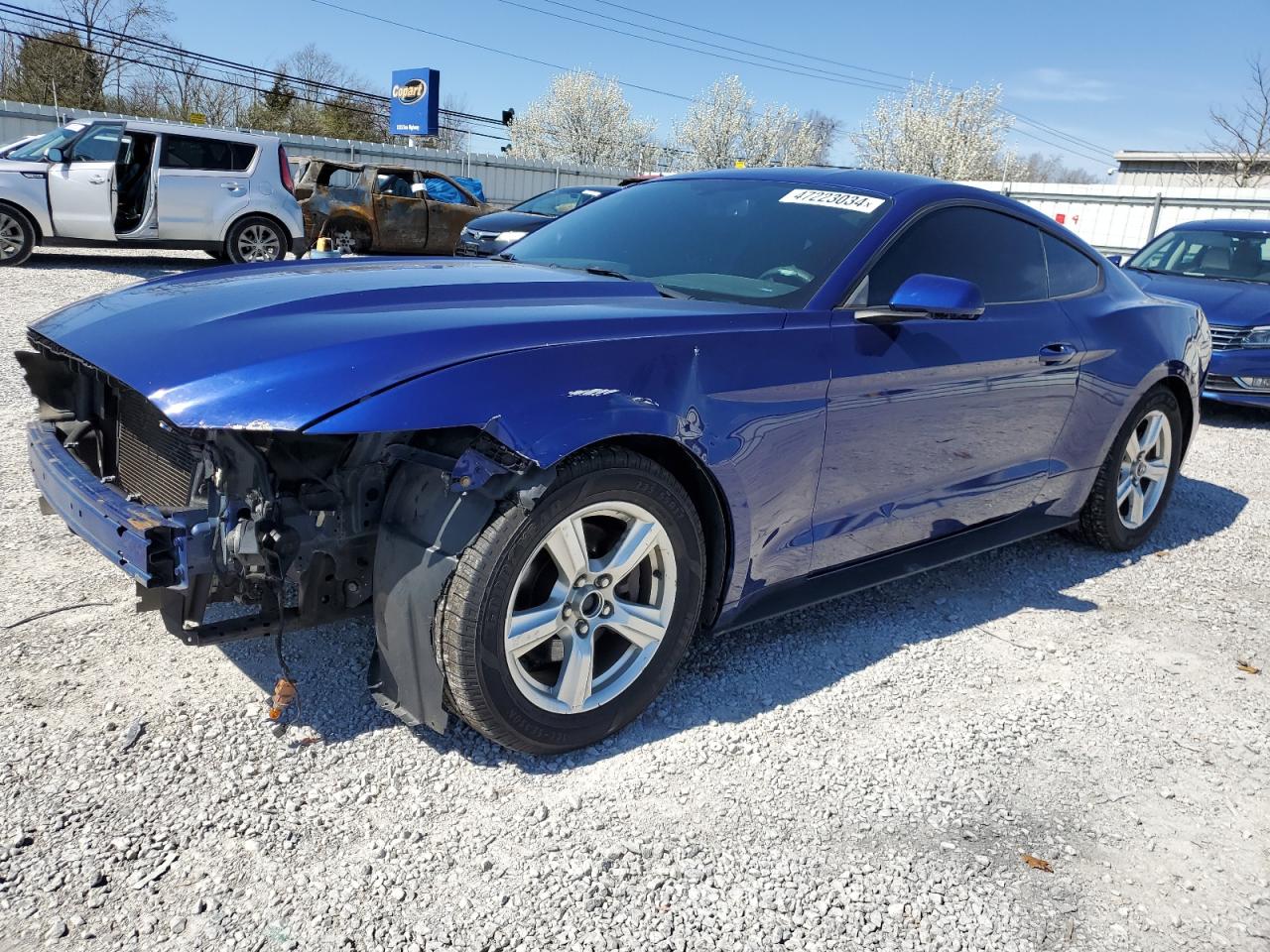 FORD MUSTANG 2015 1fa6p8amxf5310065