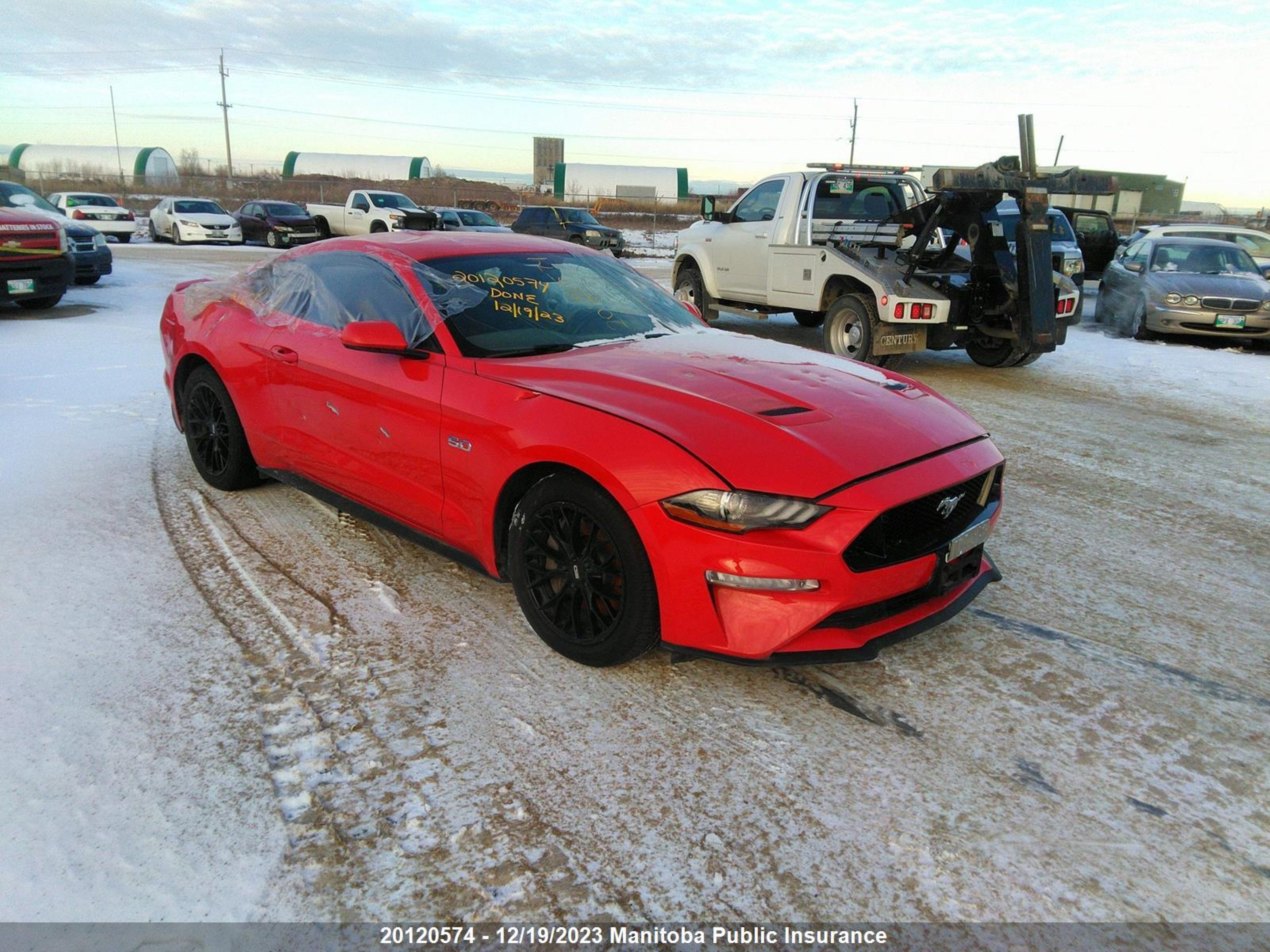 FORD MUSTANG 2019 1fa6p8cf0k5190219