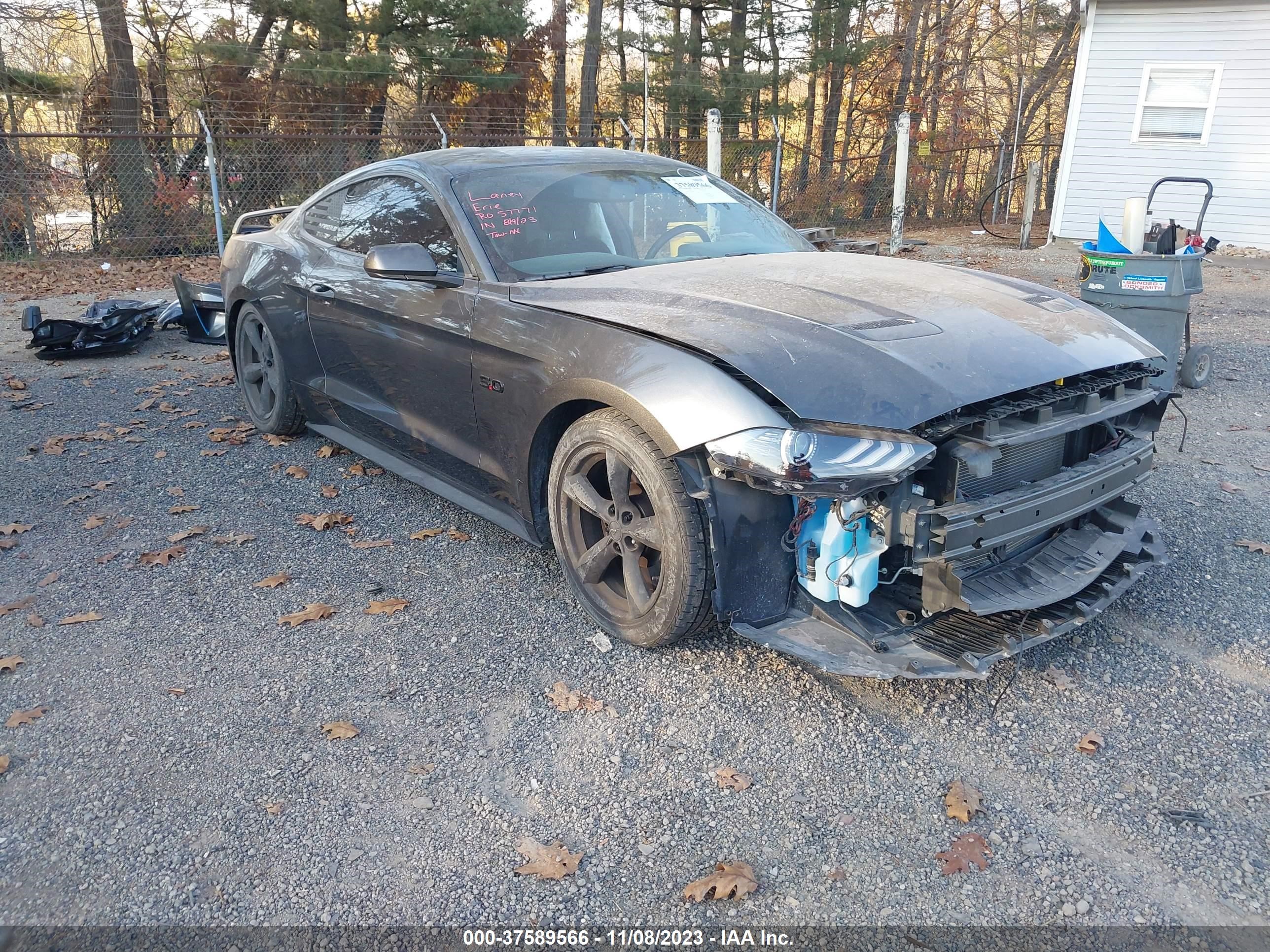 FORD MUSTANG 2019 1fa6p8cf0k5195484