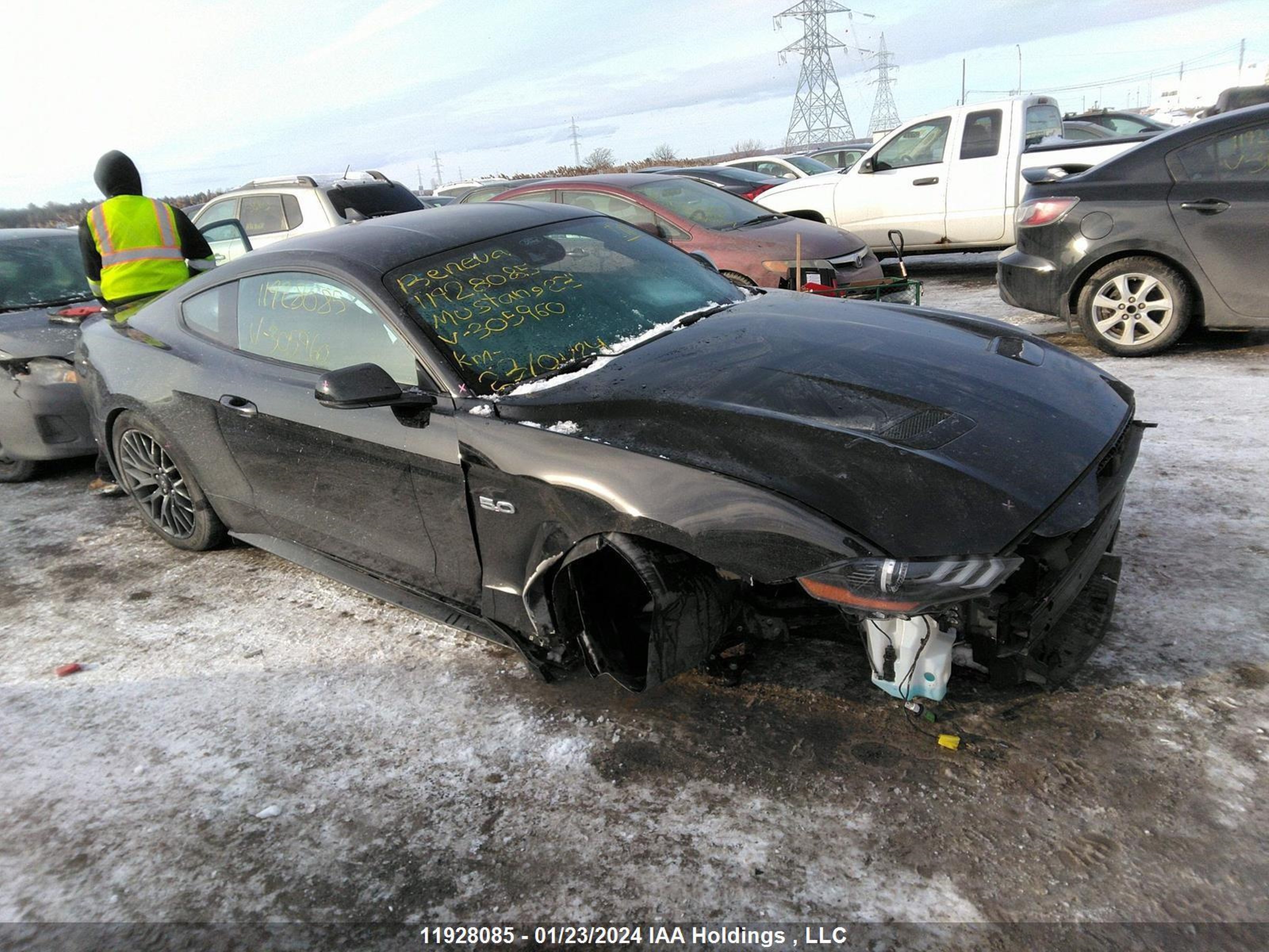 FORD MUSTANG 2023 1fa6p8cf0p5305960