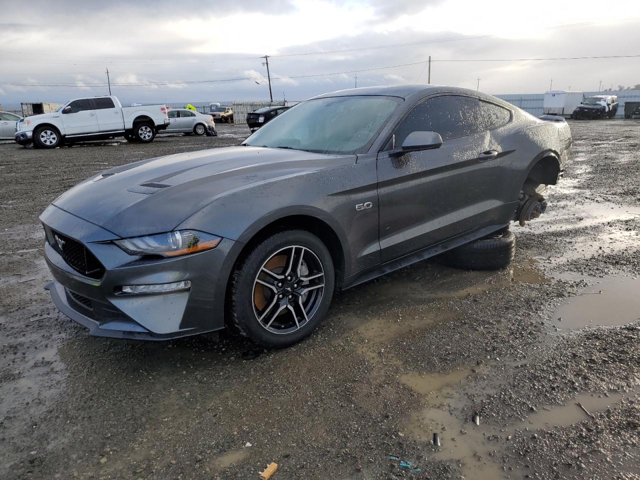 FORD MUSTANG 2019 1fa6p8cf1k5135407