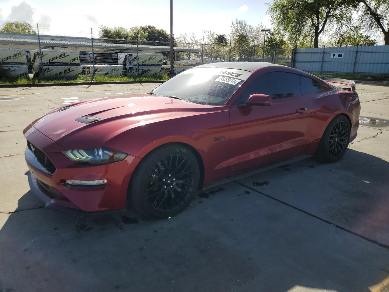 FORD MUSTANG 2019 1fa6p8cf1k5196725