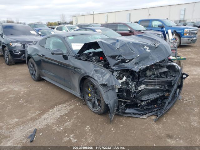 FORD MUSTANG 2019 1fa6p8cf1k5201440