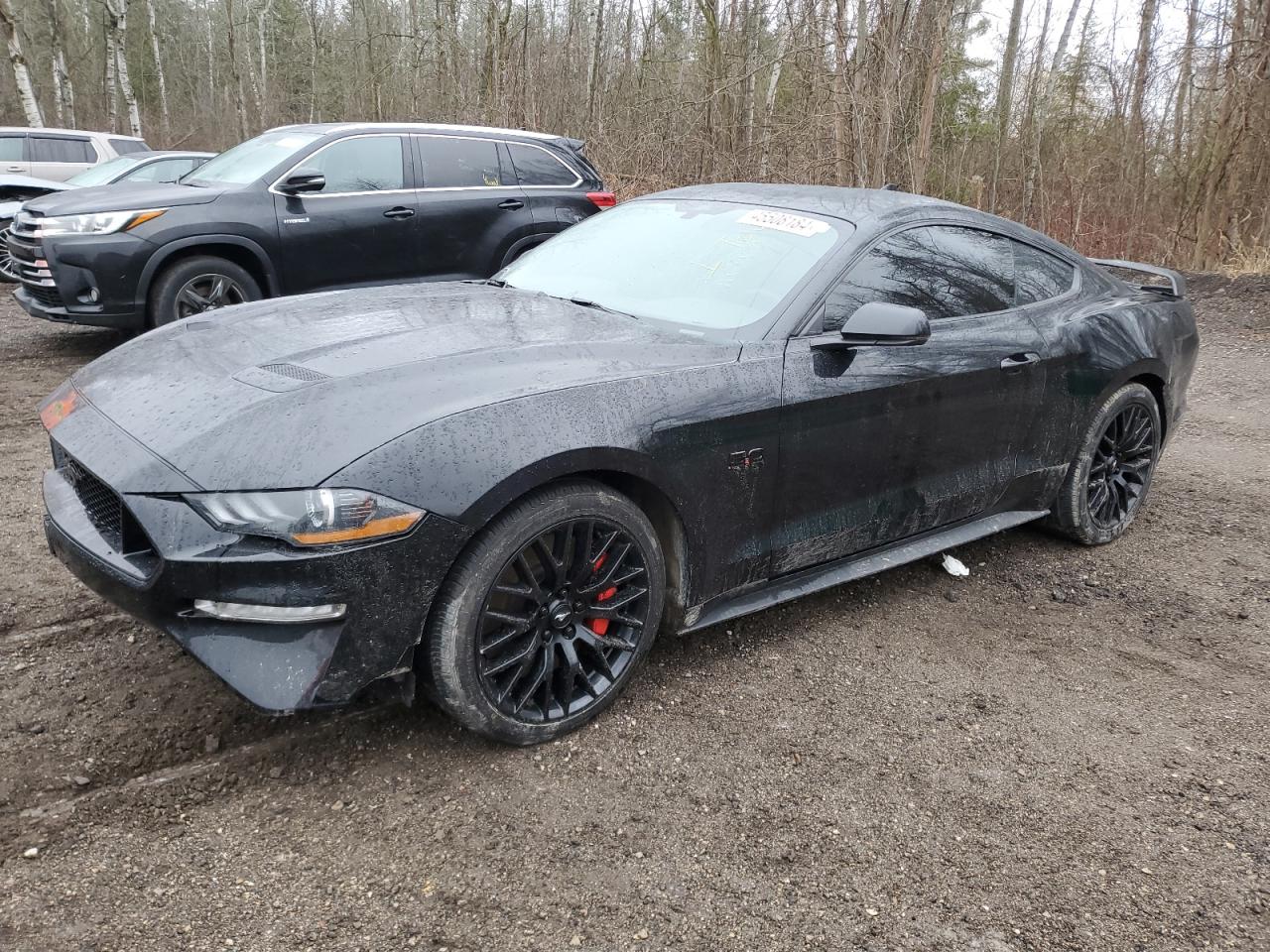 FORD MUSTANG 2020 1fa6p8cf1l5159045