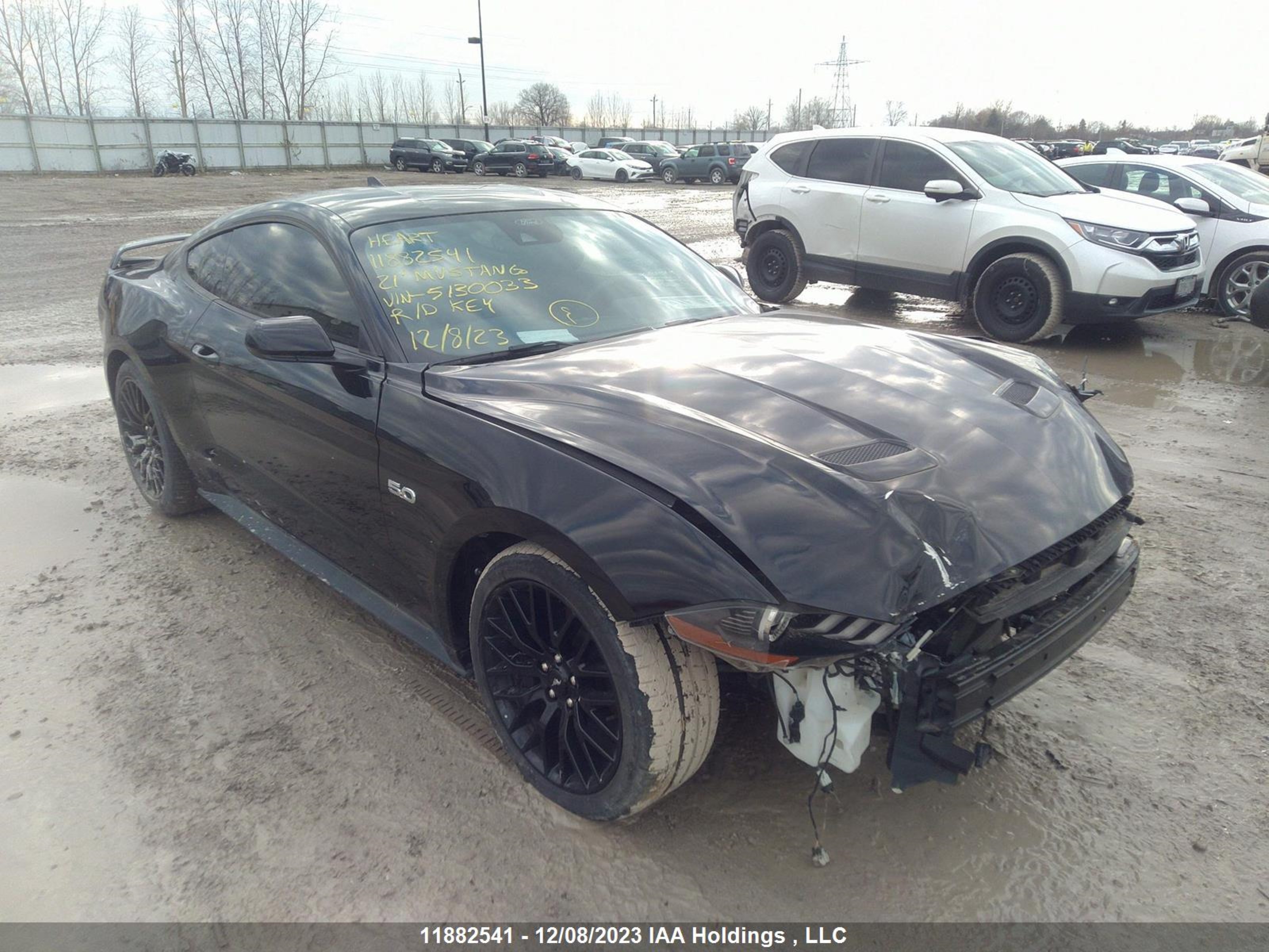 FORD MUSTANG 2021 1fa6p8cf1m5130033