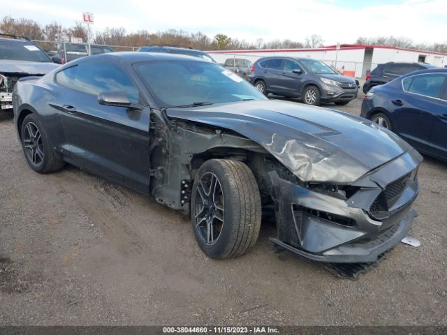 FORD MUSTANG 2019 1fa6p8cf2k5103789