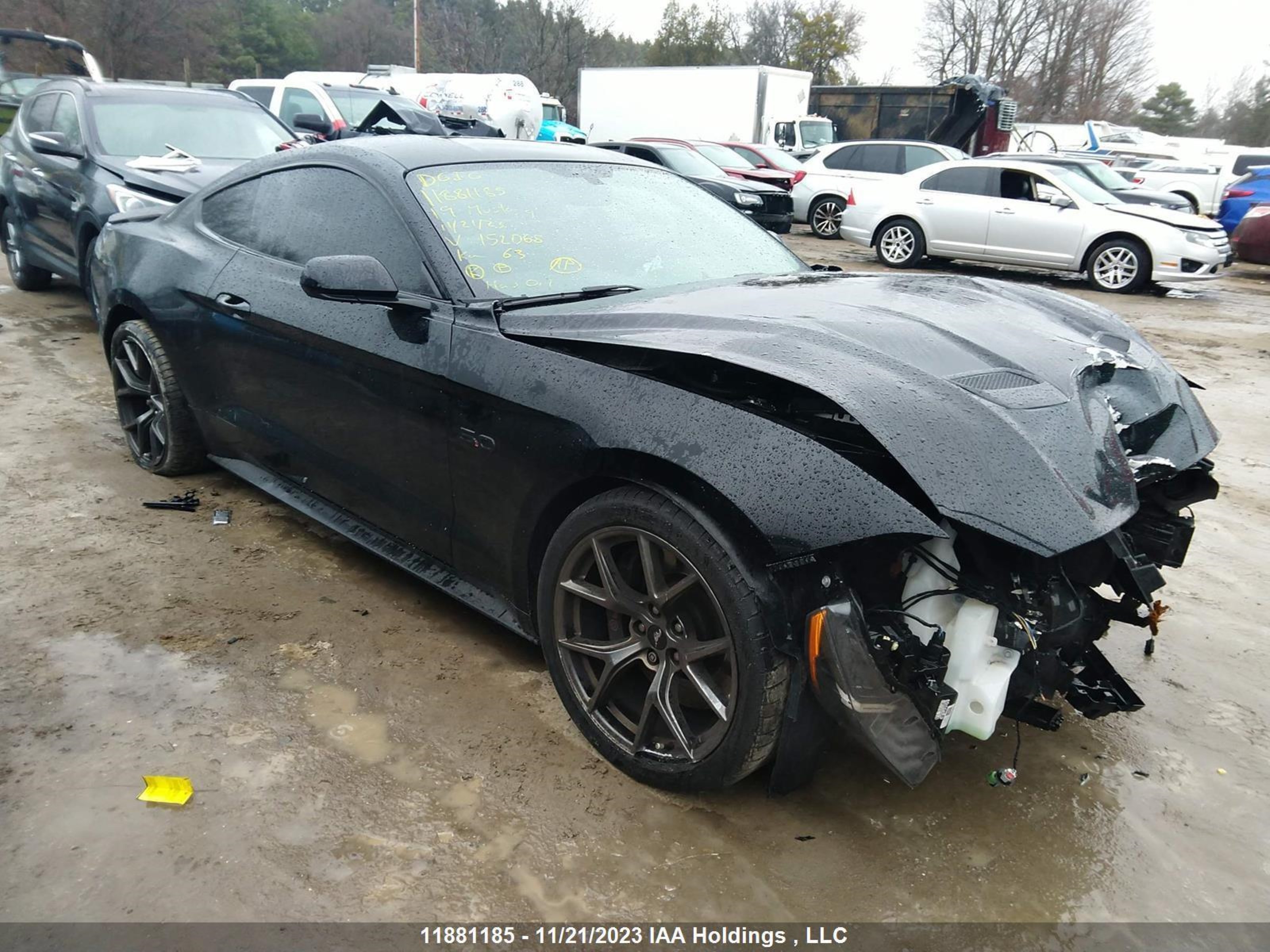 FORD MUSTANG 2019 1fa6p8cf2k5152068